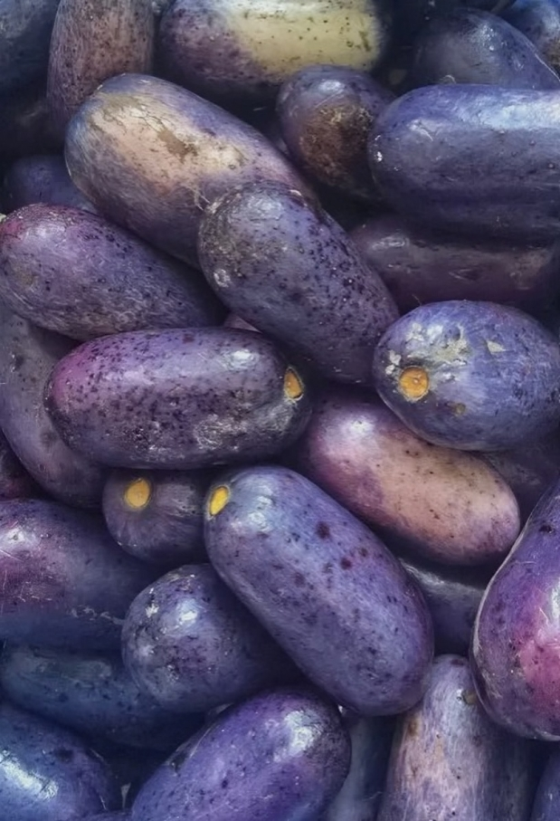 Fresh Ube £5 for a pack
