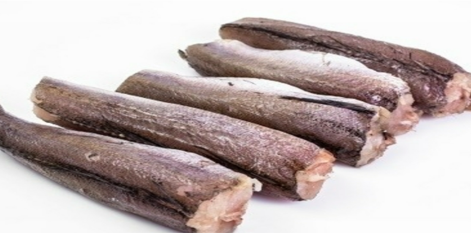 Hake Fish (Cut and Uncut)