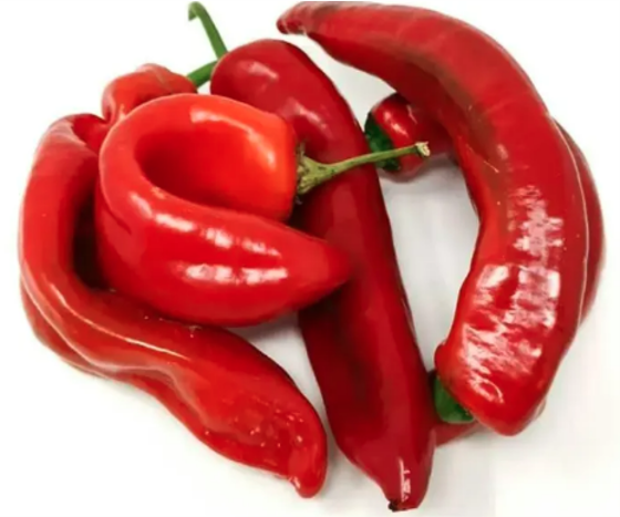 Long Tatashe / Long Pepper