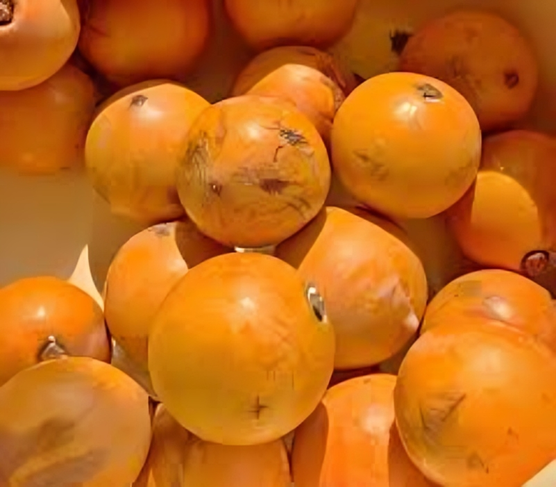 Fresh Agbalumoh