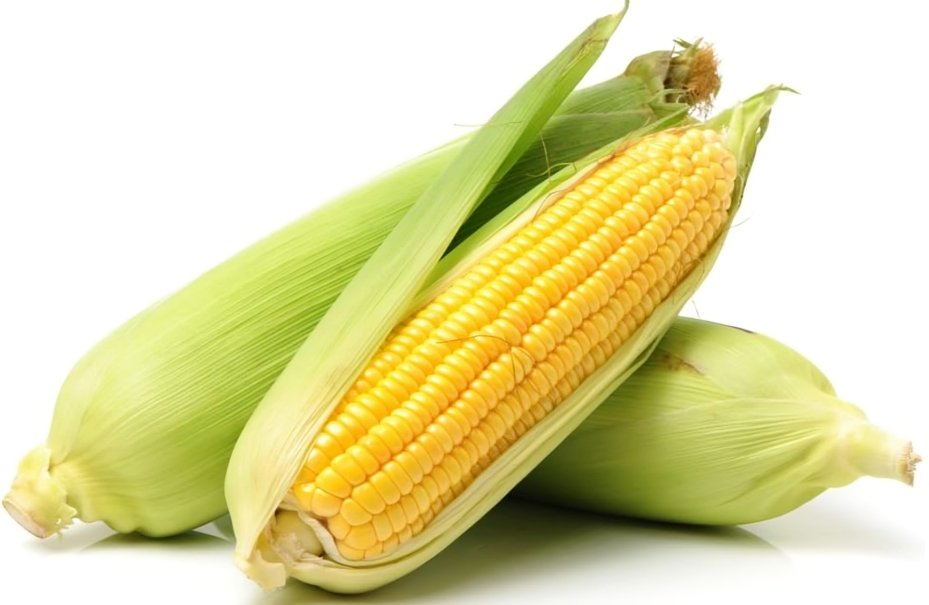 Fresh Corn