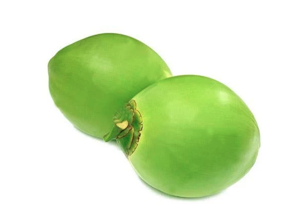 Box of Fresh Green Coconut
