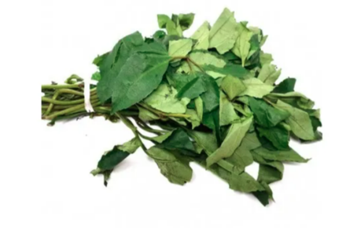 Fresh Ugu Leaves