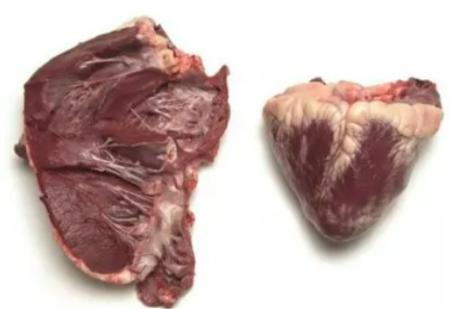 Cow Heart (Okan) £2.75 per kg