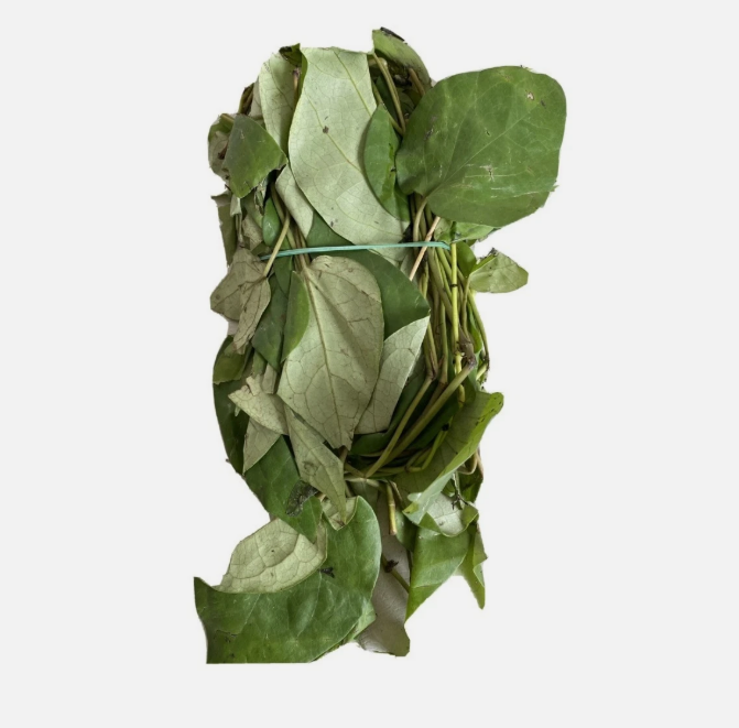 Fresh Uziza Leaves